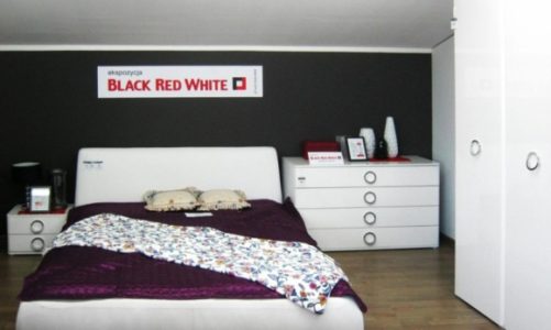 Modernizacja sieci salonów partnerskich Black Red White