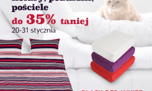 Wygodnie i ciepło w sypialni. Kołdry, poduszki i pościele do 35% taniej