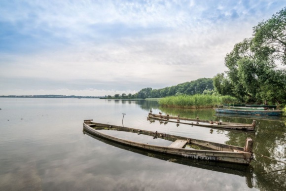 Odkryj Pałuki. Pomysł dla aktywnych seniorów