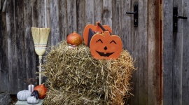 Jesienny gadżet: Halloween’owy koszyk na cukierki LIFESTYLE, Dom - Robisz lampiony z dyni? Twoje dzieci przebierają się na Halloween? Teraz czas na prawdziwe wyzwanie – zrób to sam: Halloween’owy koszyk na słodycze!