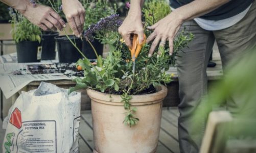 Balkon na 6! I sześć narzędzi, które pomogą nam zadbać o jego wygląd