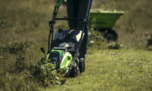 Sierpień – pracowity czas dla ogrodników