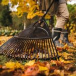 ABC jesiennych porządków w ogrodzie i na tarasie