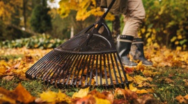 ABC jesiennych porządków w ogrodzie i na tarasie LIFESTYLE, Dom - Powoli kończy się sezon letni i coraz częściej myślimy o jesiennych porządkach w naszych przydomowych ogródkach. Jest kilka ważnych punktów na liście spraw do załatwienia, aby spokojnie cieszyć się pięknym ogrodem i tarasem w kolejnym sezonie.