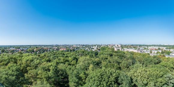 Zielony Dębiec się zmienia. Obecne i przyszłe inwestycje BIZNES, Nieruchomości - ​Przy Dolnej Wildzie powstaje Zieleniec Dębiec, w Lasku Dębieckim