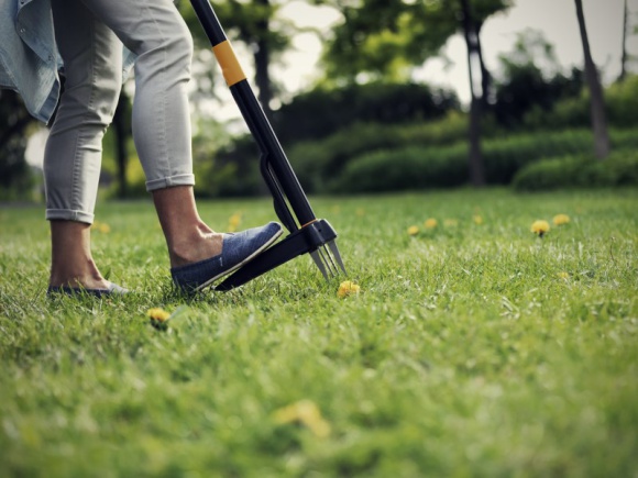 Jaki prezent dla Babci i Dziadka? – inspiracje ogrodowe Fiskars