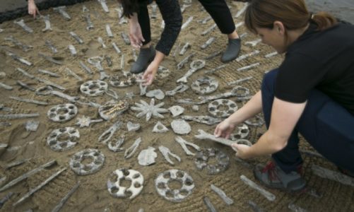 Stocznia Cesarska z Nadbałtyckim Centrum Kultury przywraca stoczniowe ogródki