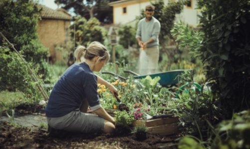 5 kluczowych narzędzi w każdym ogrodzie – inspiracje Fiskars