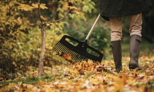 Sprzątamy liście z trawnika – jesienne porządki z Fiskars