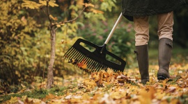 Sprzątamy liście z trawnika – jesienne porządki z Fiskars LIFESTYLE, Dom - Uprzątnięcie liści może być prawdziwym wyzwaniem, gdy w ogrodzie jest wiele drzew i krzewów. Z pomocą przychodzą specjalne grabie do liści. To niezbędnik każdego ogrodnika.